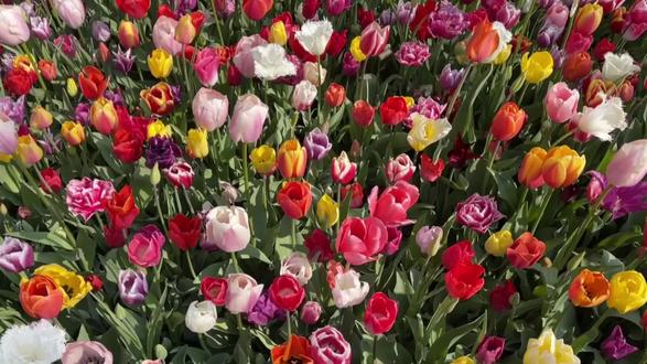 怕字代表什么动物 oghe6Jo4kfAWId2hBs8DgtnnA8A9xEjgQJbWNP~tplv-dy-resize-origshort-autoq-75:330.jpeg?biz_tag=pcweb_cover&from=3213915784&s=PackSourceEnum_AWEME_DETAIL&sc=cover&se=false&x-expires=2008908000&x-signature=K%2BaBKNhVpRmPjPn0H7X26FTweKg%3D