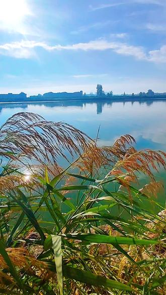 自由的感觉到底是什么样的 oglANhkzgbcBkqOftVyeAFAHESG3WgIu0CU4MD~tplv-dy-resize-origshort-autoq-75:330.jpeg?biz_tag=pcweb_cover&from=3213915784&s=PackSourceEnum_AWEME_DETAIL&sc=cover&se=false&x-expires=2010751200&x-signature=8yBHBsAzBJKJ9hO9V74paEncg%2FI%3D