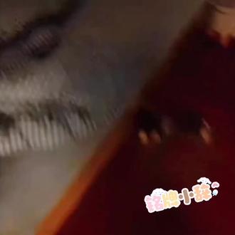 六安天气预报一个月的 okDmgCfbLPOQi0A96dKlKB8oEexnCxgAAulKRB~tplv-dy-resize-origshort-autoq-75:330.jpeg?biz_tag=pcweb_cover&from=3213915784&s=PackSourceEnum_AWEME_DETAIL&sc=cover&se=false&x-expires=2012590800&x-signature=VICuOVXX8voEXFqrb7hgURQqvt0%3D
