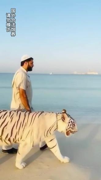 鱼跃而上简谱 okEQr7zkEfA8IABfhAhNaXA1APqEt9y9k5m7gs~tplv-dy-resize-origshort-autoq-75:330.jpeg?biz_tag=pcweb_cover&from=3213915784&s=PackSourceEnum_AWEME_DETAIL&sc=cover&se=false&x-expires=2009750400&x-signature=g9qHAJLqoCNQcvI%2FYgD3wn0kdaM%3D