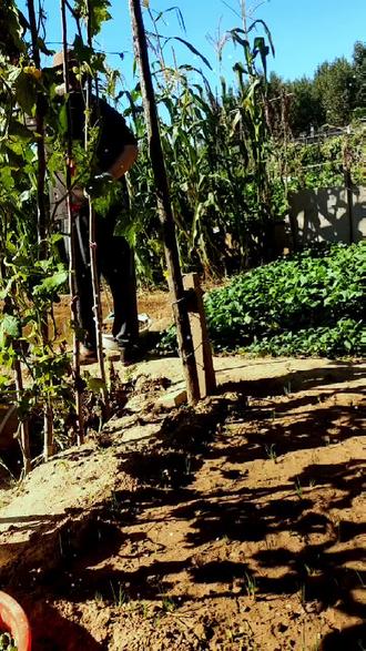 网站搭建推荐公司 okQ9nDg5IXlEeTAvQBF75C8zyAOLxAbujeA9EW~tplv-dy-resize-origshort-autoq-75:330.jpeg?biz_tag=pcweb_cover&from=3213915784&s=PackSourceEnum_AWEME_DETAIL&sc=cover&se=false&x-expires=2010121200&x-signature=7MR6TTLh1irnFgNBgtqNlhuVE5g%3D