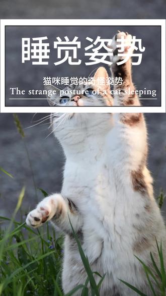 如何上热门 话题技巧 okmi2A7LbDFnxDgkO78bABgfWfXG7cQL9tn3A7~tplv-dy-resize-origshort-autoq-75:330.jpeg?biz_tag=pcweb_cover&from=3213915784&s=PackSourceEnum_AWEME_DETAIL&sc=cover&se=false&x-expires=2009466000&x-signature=EIWQNNAgwIJB%2F4LFJnlxm%2Bqzb14%3D