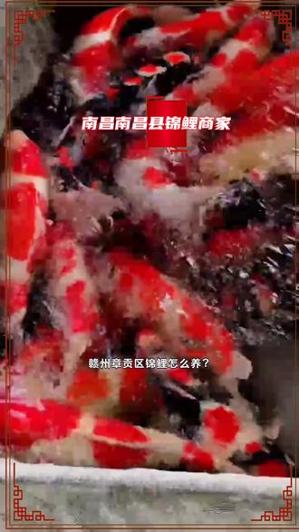 现在怎么赚钱才能赚得多 okqVBqhH7EI2yvgeSADUvQzIIADKelPbsyfB4C~tplv-dy-resize-origshort-autoq-75:330.jpeg?biz_tag=pcweb_cover&from=3213915784&s=PackSourceEnum_AWEME_DETAIL&sc=cover&se=false&x-expires=2011568400&x-signature=yuNNgkc0u46Nr0JyvbvZb543YF8%3D