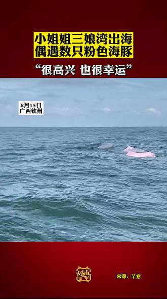 妙手偶得的偶意思 owOzP2HePBfJ5k0BaAHfPPQjwCEgoonArl7wxA~tplv-dy-resize-origshort-autoq-75:330.jpeg?biz_tag=pcweb_cover&from=3213915784&s=PackSourceEnum_AWEME_DETAIL&sc=cover&se=false&x-expires=2007896400&x-signature=L%2FNOXVpU%2FD0NWmjmfEbMYyXr6CA%3D