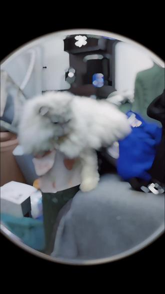 怎么去除甲醛味最有效 owfe5gUlCAmxAJAAhLWuA97BCHKtI9VFAYvgEz~tplv-dy-resize-origshort-autoq-75:330.jpeg?biz_tag=pcweb_cover&from=3213915784&s=PackSourceEnum_AWEME_DETAIL&sc=cover&se=false&x-expires=2010888000&x-signature=coqGVKAXjHrxhFY7Bau2ggst43M%3D