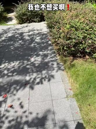 有没有免费的电影网站推荐 owlGIZQwQqOwB9uAIwVxzAA9F9efKCb2Wg9nHD~tplv-dy-resize-origshort-autoq-75:330.jpeg?biz_tag=pcweb_cover&from=3213915784&s=PackSourceEnum_AWEME_DETAIL&sc=cover&se=false&x-expires=2011611600&x-signature=Kt%2FF3kcXHZHd0fC%2FqVZnrMV69OA%3D