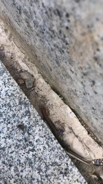 今日新闻最新10条消息 owtyHGeIApzjwZNhkrfciEVmA1RSIgBLNqBDPA~tplv-dy-resize-origshort-autoq-75:330.jpeg?biz_tag=pcweb_cover&from=3213915784&s=PackSourceEnum_AWEME_DETAIL&sc=cover&se=false&x-expires=2011539600&x-signature=cHOS0eu0X7tX50iFsgLEEtx9%2Bp8%3D