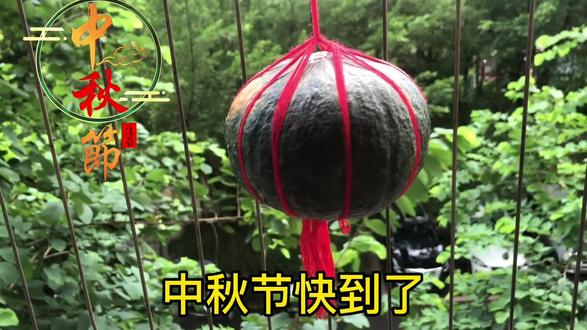 灯笼鱼的做法 892207ae3f704257943f05a38c4f8a65~tplv-dy-resize-origshort-autoq-75:330.jpeg?biz_tag=pcweb_cover&from=3213915784&s=PackSourceEnum_AWEME_DETAIL&sc=cover&se=false&x-expires=2006186400&x-signature=8%2Bhf9ElgLv83radLbKoH5K5gw98%3D