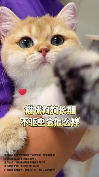 网易严选全家猫粮 o4lZeIcJsYffMkApXf8MwGSEYeQCsgQHkvIjAS~tplv-dy-resize-origshort-autoq-75:330.jpeg?biz_tag=pcweb_cover&from=3213915784&s=PackSourceEnum_AWEME_DETAIL&sc=cover&se=false&x-expires=2007028800&x-signature=4Nkujm7IdkpQXvCP9wR1qIPcY7E%3D