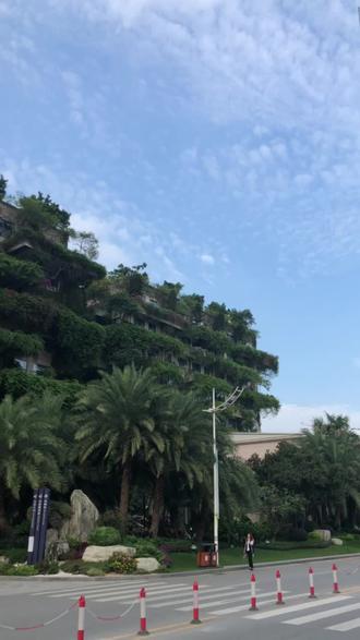 偶遇网红碧桂园总部大楼
