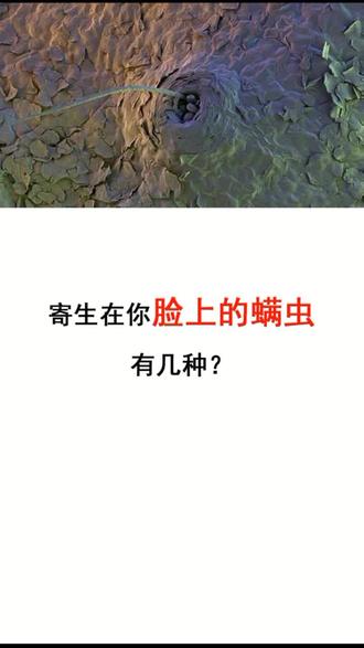 你脸上的螨虫式哪一种?#鸡皮肤方法