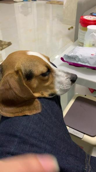 我的抖音号会隐身……搜都搜不到……