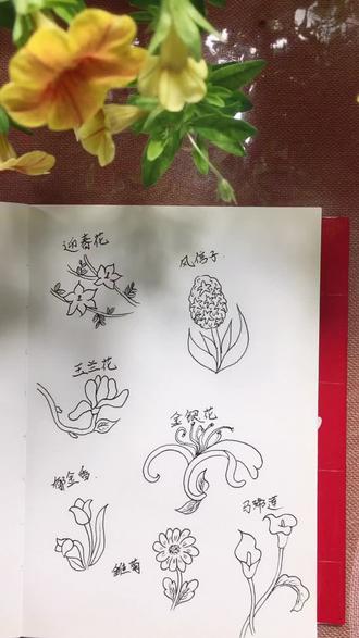 春天盛开的花朵~第二波#简笔画#春天手抄报