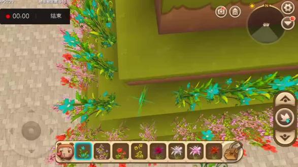 我的迷你生活(13)