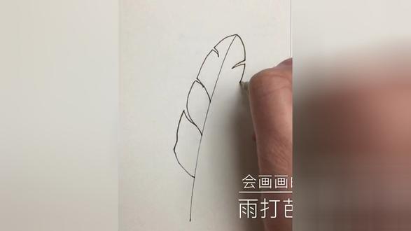 教你快速画黑白线描——雨打芭蕉