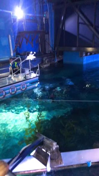 曼谷海洋世界,套餐B票,两个大人一个小孩,3970泰铢!