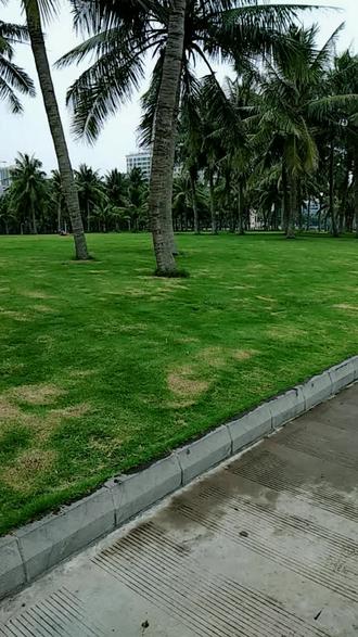 我所在位置就是湛江港,是南海舰队军舰停泊的位置!