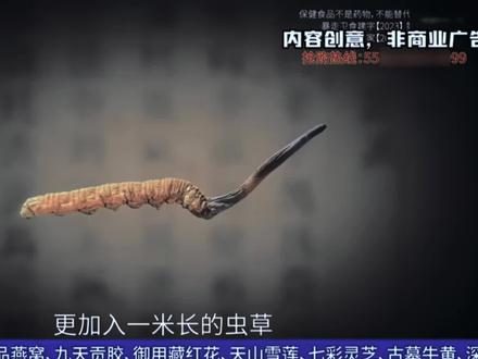 一米长的虫草#一米长的虫草