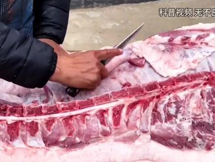 俗话说“早不买猪肉,晚不买豆腐”,为什么不能买? (1)#猪肉 #豆腐 #俗语 #内容启发搜索