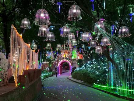 重庆所有人跨年都会去的重庆·夜花园12月31号正式开启啦#重庆夜花园 #重庆dou知道 #亲子游玩好去处 #遛娃好去处 #跨年 @DOU+小助手