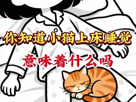 你知道小猫上床睡觉意味着什么吗 #猫咪 #猫咪的迷惑行为 #养猫人 #猫咪日常