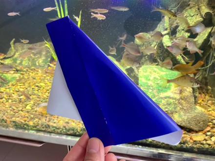 认识这个的今年多大了,最响的折纸炮,学会了不要说是我教的#折纸教程#纸炮