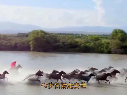 昭苏雪未停,贺娇龙魂归故土 #抖音合集升级计划 #贺娇龙 #名人故事 #创作者扶持计划 #热点