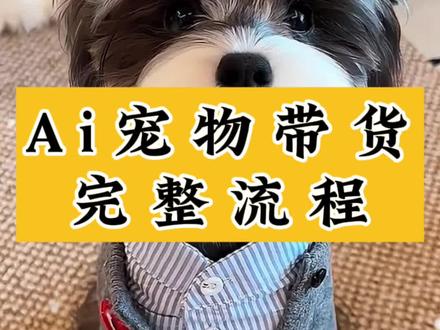 Ai宠物带货新玩法全流程#带货 #Ai #宠物 #宠物用品 #Ai工具