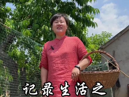 记录生活之摘桃子怎么拍,几招学起来#手机摄影#摄影教学#拍摄技巧#记录真实生活 #创作灵感#暖风手机摄影#抖音小助手#vlog十亿流量扶持计划