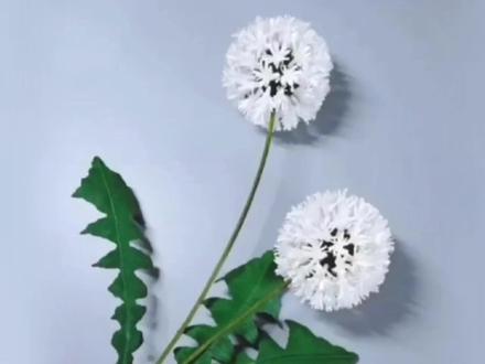 手工制作一棵蒲公英,两种形态,轻松学会。