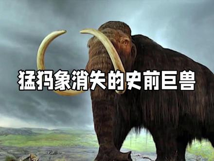 猛犸象消失的史前巨兽#猛犸象 #猛犸象的故乡 #远古生物 #猛兽 #动物冷知识 #大象 #史前巨兽 #神奇动物 #古生物 #野象