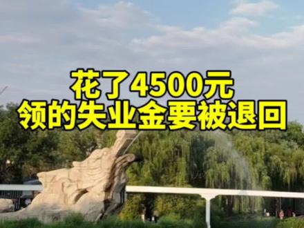 花了4500元,领的失业金要被退回,这种情况怎么办#失业金领取 #失业保险 #保障师说社保 #社保