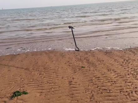 雷子赶海用盐狂抓蛏王,撒点盐嗖嗖往上跑,真过瘾