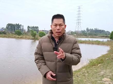 硫化氢是怎么产生的?如何预防?#水产养殖 #南美白对虾 #三农 #冬棚养虾