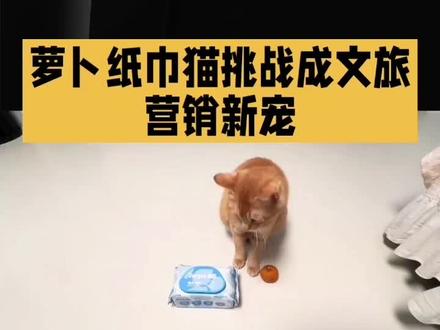 萝卜纸巾猫成文旅新宠 #萝卜纸巾猫 #文旅