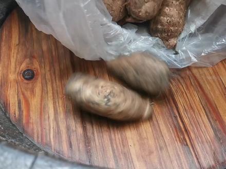 炮制天麻也是一个技术活,大家猜猜30斤新鲜天麻能晒几斤干天麻 #西藏 #户外 #山货 #美食