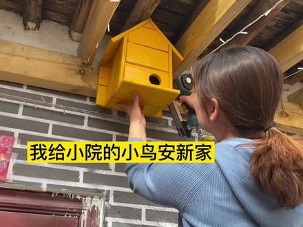 快来看看我给小院的小鸟做的鸟窝,别忘了给剩下的两个取名字 啊#小院改造#记录我的农村生活#创作灵感 #向往的生活 #田园生活