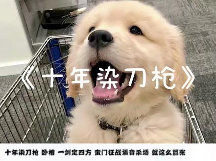 十年染刀枪@抖音热点 @会火 #另类喊麦