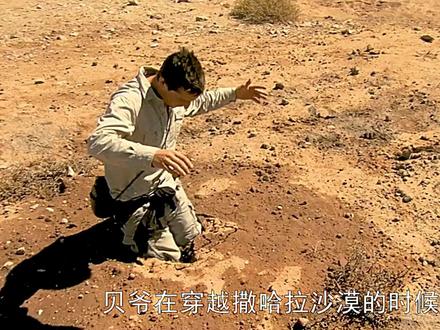 前往荒芜沙漠,碳烤辣条,美味蜂蜜#荒野求生#野外生存#解压