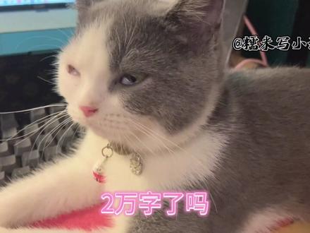 完结了,完结了。就像是自己的孩子,我把他推出去了,他已经长大成人,不需要我在每天陪伴了,以后还有没有收入回报,就看这个孩子能不能长点志气了。#网文作者的日常 #小说 #碎银几两可解世间惆怅 #被迫营业的猫猫 #键盘打字