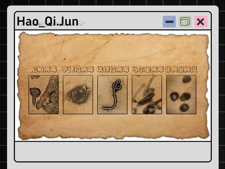 蝙蝠为何会携带病毒? #尼帕病毒 #埃博拉病毒 #蝙蝠 #知识前沿派对 #抖音精选app