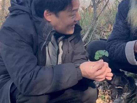 这么好的东西,怎么能叫千年老鼠屎呢?#植物 #植物科普 #采药人 #大自然的馈赠 @蕲人识百草