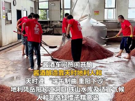 10月19日,岳阳楼酒集团 2026 年度下沙生产正式启动,依托岳阳得天独厚优势,酿造优质酱酒。#岳阳楼酒#酱酒下沙