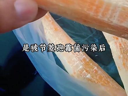 惊呆了!这些日常食物,正在悄悄危害你的健康! #科普 #不能吃的食物