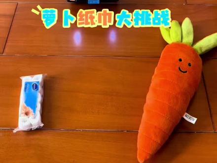 今晚玩萝卜纸巾🧻大挑战,猫咪🐱不肯上场,只能派电动玩具车🚚来挑战了😁
#萝卜纸巾 #玩具车 #汽车版萝卜纸巾挑战 #创作灵感 #创作者中心