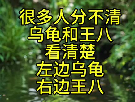 #乌龟 #王八 #王八上岸 我感觉,卖家应该没骗我。