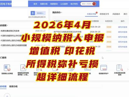 2026年4月小规模纳税人申报增值税,印花税,所得税季报弥补亏损详细流程#小规模 #报税 #会计实操 #增值税 #会计干货
