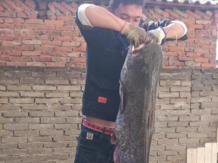 钓鲶鱼如何找位置,找标点,学习都是干货。#钓鱼人的2024年度回忆 #臭鱼钓鲶鱼 #钓鲶鱼的技巧 #原来钓鱼才是抖音运动顶流 #怎么判断水域有鲶鱼