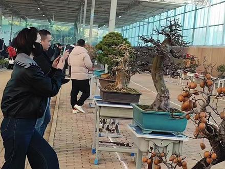 热烈祝贺河南 南阳卧龙兰花产业园举办圆满成功!