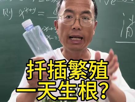 扦插繁殖一天生根? #根系生长秘诀